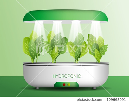 Portable hydroponic aeroponic system for eco-friendly growing of green lettuce, vegetables and herbs. With automatic watering system and phyto lighting Portable hydroponic aeroponic system for eco-friendly growing of green lettuce, vegetables and herbs. With automatic watering system and phyto lighting 109668991