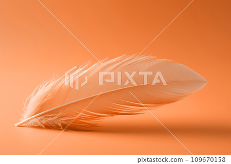 Soft Clouds in the Peach Fuzz Color Stock Image - Image of nature