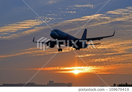 Narita 34L peach brooch Narita 34L peach brooch 109670419