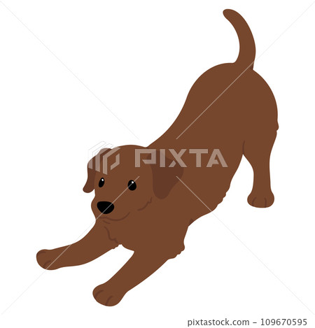 A simple and cute chocolate-colored Labrador that invites you to play.No main line. 109670595