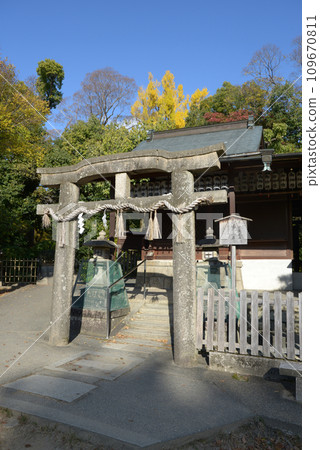 Kyoto Gyoen National Garden in autumn, Karahafu Torii of Itsukushima Shrine, Kamigyo Ward, Kyoto City 109670811