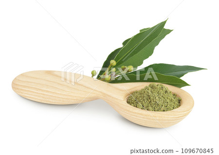 Fresh and ground Laurel leaves in wooden spoon isolated on white background. Green bay leaf Fresh and ground Laurel leaves in wooden spoon isolated on white background. Green bay leaf 109670845