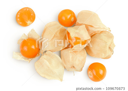 Cape gooseberry or physalis isolated on white background wit full depth of field. Top view. Flat lay Cape gooseberry or physalis isolated on white background wit full depth of field. Top view. Flat lay 109670873