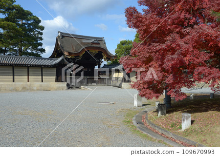 Kyoto Imperial Palace in autumn, Kenshunmon Gate and autumn leaves, Kamigyo Ward, Kyoto City 109670993