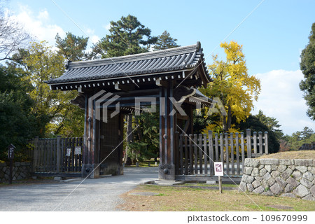 秋天 京都御苑 青和院門 京都市上京區 109670999