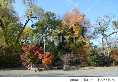 秋天的京都御苑，京都市上京區花園的秋葉 109671070