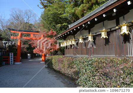 秋天的下鴨神社、京都市左京區三井神社和西鳥居 109671270