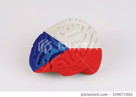 On a white background, a model of the brain with a picture of a flag - Czech 109671982