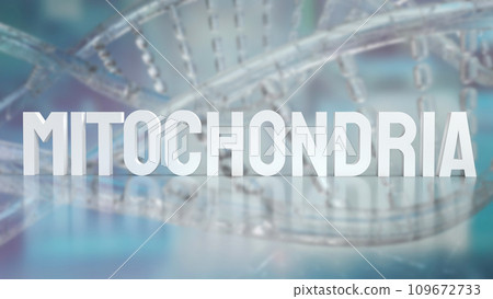 The Mitochondria for sci or health concept 3d rendering The Mitochondria for sci or health concept 3d rendering 109672733