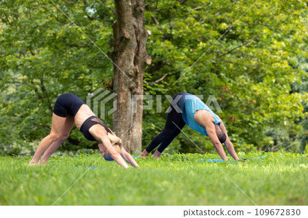 Man and woman doing yoga exercises in green park. 109672830
