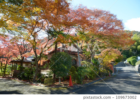 秋天的嵯峨野，京都市右京區奧佐賀的秋葉 109673002