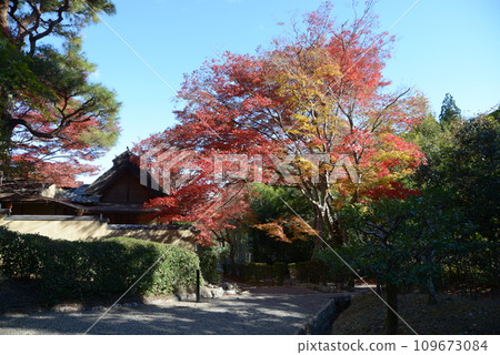 Sagano in autumn, autumn leaves and thatched roofs, Ukyo Ward, Kyoto City Sagano in autumn, autumn leaves and thatched roofs, Ukyo Ward, Kyoto City 109673084