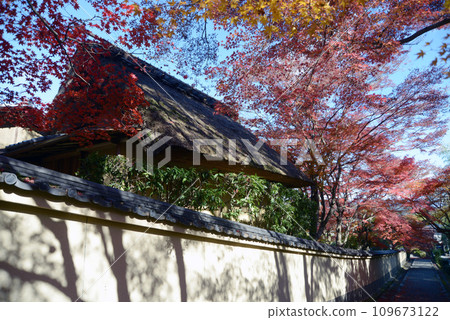 Sagano in Autumn, Autumn leaves in Okusaga, Ukyo Ward, Kyoto City 109673122