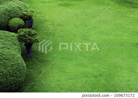 Scenic View of a Beautiful Landscape Garden with a Green Mowed Lawn 109673172