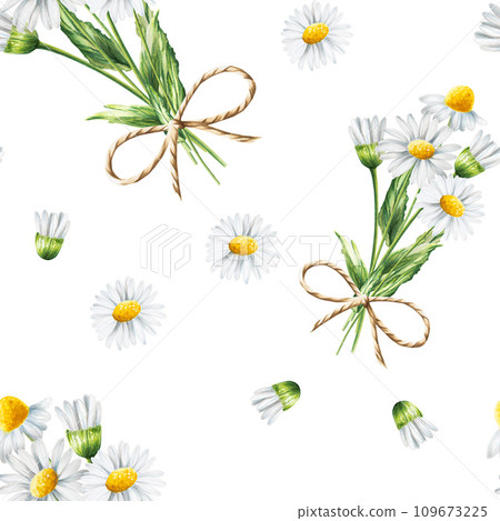 Watercolor seamless pattern with white daisy flowers illustration isolated on white background. Chamomile. Detail of beauty products and botany set, cosmetology and medicine. For designers, spa 109673225