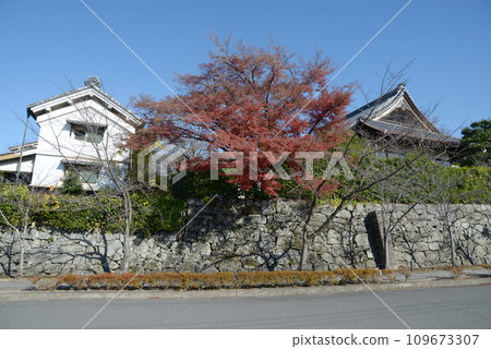 京都左京區黑谷區近海光明寺的秋葉 109673307