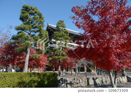 京都市左京區黑谷 秋天的近海光明寺 109673309