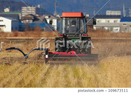 Tractor plowing a rice field in the countryside Tractor plowing a rice field in the countryside 109673511