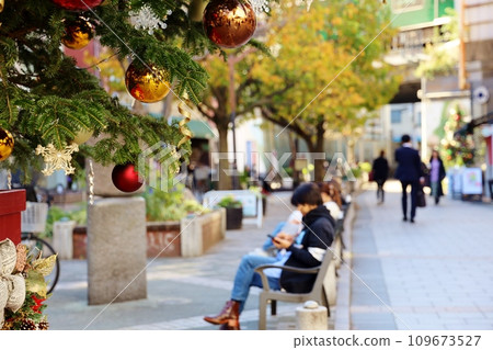 Jiyugaoka green road with Christmas tree Jiyugaoka green road with Christmas tree 109673527