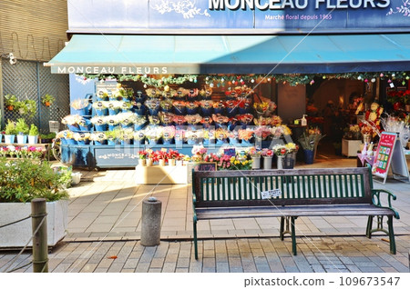 自由之丘綠色道路旁的花店 自由之丘綠色道路旁的花店 109673547