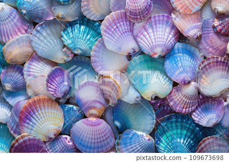 Starfish and various seashells macro background. Sshells have different shapes, colors and textures, creating stunning pattern. Mermaidcore aesthetic, marine life, fantasy, fashion and beauty concept 109673698