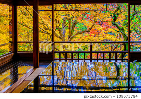 京都八瀨琉璃光院 京都八瀨琉璃光院 109673784