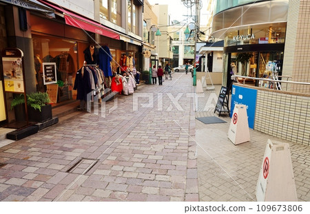 Fashionable Jiyugaoka shopping street 109673806