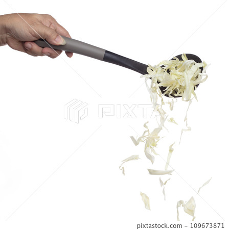 Cabbage fly in turner, green fresh vegetable cabbage cut chop slice food. Organic fresh vegetable with eaten leaf of cabbage falling, close up texture. White background isolated freeze motion Cabbage fly in turner, green fresh vegetable cabbage cut chop slice food. Organic fresh vegetable with eaten leaf of cabbage falling, close up texture. White background isolated freeze motion 109673871