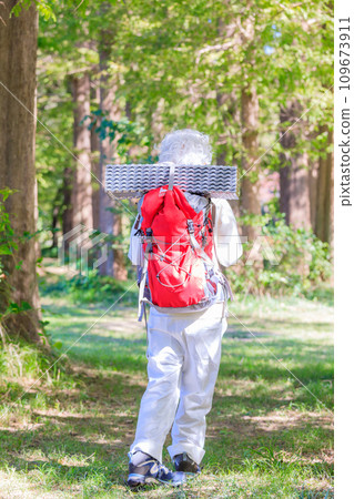 Energetic senior woman enjoying trekking 109673911