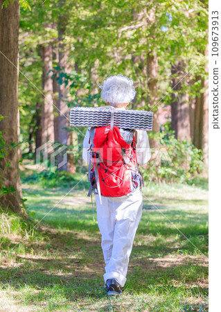 Energetic senior woman enjoying trekking 109673913