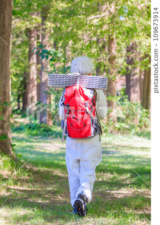 Energetic senior woman enjoying trekking 109673914