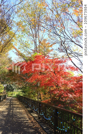 相模原公園人行天橋上掛著秋葉 109673984