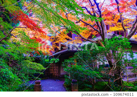 Rurikoin Temple in Yase, Kyoto Rurikoin Temple in Yase, Kyoto 109674011