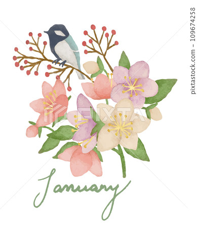 一月鳥語花香 - 大山雀和聖誕玫瑰 109674258