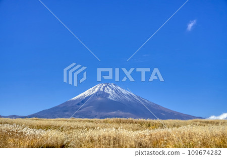 Mt. Fuji in autumn 109674282