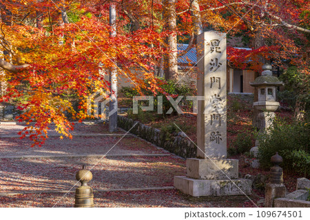 Kyoto in autumn, Bishamondo, autumn leaves and temple sign at the entrance to the approach 109674501