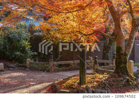 秋天的京都，毗沙門多，入口處的秋葉和極樂橋 109674502