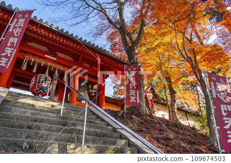 Kyoto in autumn, Bishamondo, autumn leaves and Niomon gate 109674503