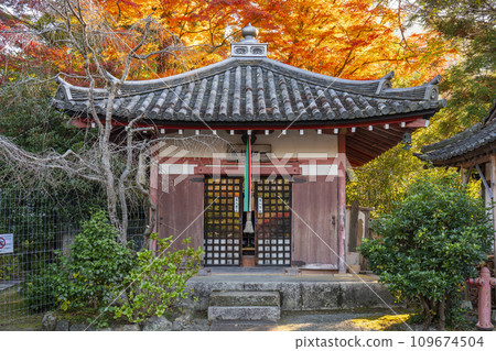 Autumn in Kyoto, Bishamondo, autumn leaves and Buddhist scriptures 109674504