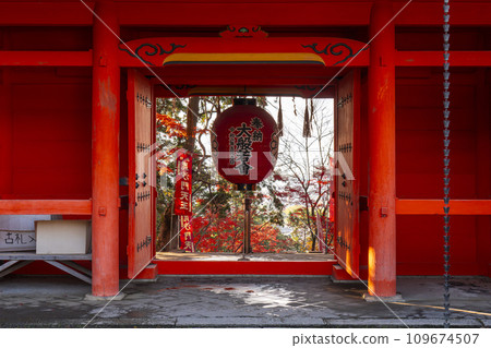秋天的京都、Bishamondo、秋葉和仁王門 秋天的京都、Bishamondo、秋葉和仁王門 109674507