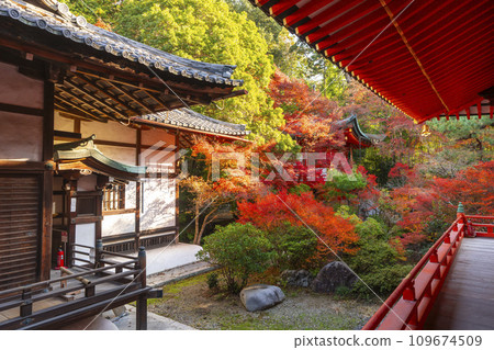 Autumn in Kyoto, Bishamondo Temple, Benzaiten on a hill surrounded by autumn leaves 109674509