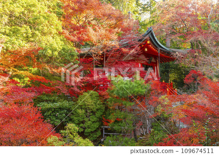 Autumn in Kyoto, Bishamondo Temple, Benzaiten on a hill surrounded by autumn leaves 109674511