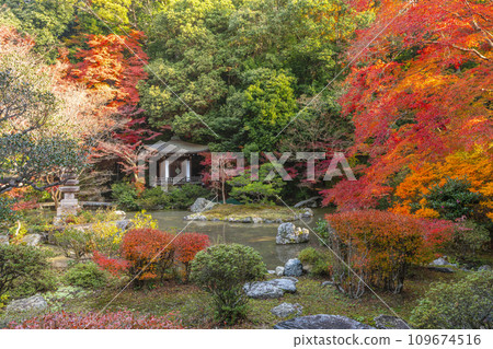 Kyoto in autumn, Bishamondo, Bansuien covered in autumn leaves 109674516