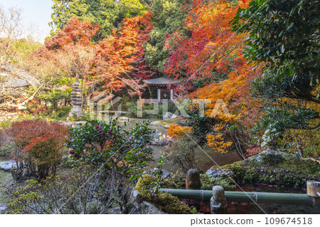 秋天的京都、Bishamondo、Bansuien 被秋葉覆蓋 秋天的京都、Bishamondo、Bansuien 被秋葉覆蓋 109674518
