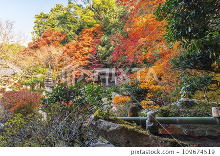 Kyoto in autumn, Bishamondo, Bansuien covered in autumn leaves 109674519