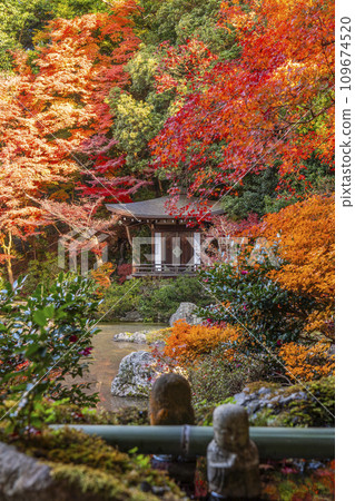 Kyoto in autumn, Bishamondo, Bansuien covered in autumn leaves Kyoto in autumn, Bishamondo, Bansuien covered in autumn leaves 109674520