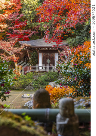 Kyoto in autumn, Bishamondo, Bansuien covered in autumn leaves Kyoto in autumn, Bishamondo, Bansuien covered in autumn leaves 109674521