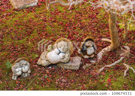 A raccoon statue placed casually in the Bishamondo garden in autumn in Kyoto A raccoon statue placed casually in the Bishamondo garden in autumn in Kyoto 109674531