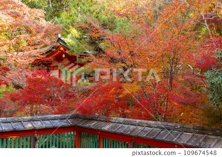 Autumn in Kyoto, Bishamondo Temple, Benzaiten on a hill surrounded by autumn leaves Autumn in Kyoto, Bishamondo Temple, Benzaiten on a hill surrounded by autumn leaves 109674548
