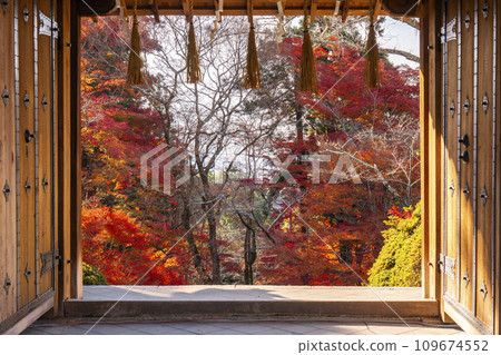 Autumn Kyoto - Bishamondo - Autumn leaves seen from the Yakui-mon gate 109674552